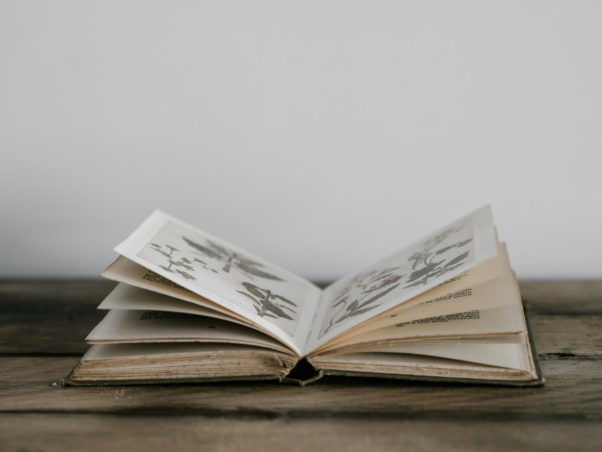 « J’ai envie d’écrire mon livre.&nbsp;»